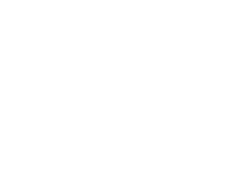 bovie
